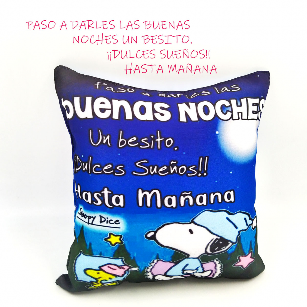 Cojín Almohada Mensaje Decorativo Hogar