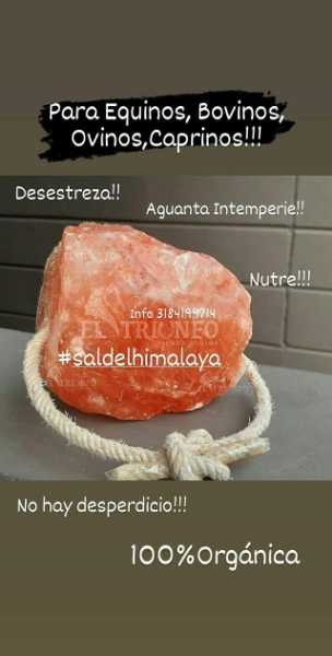 Sal del Himalaya