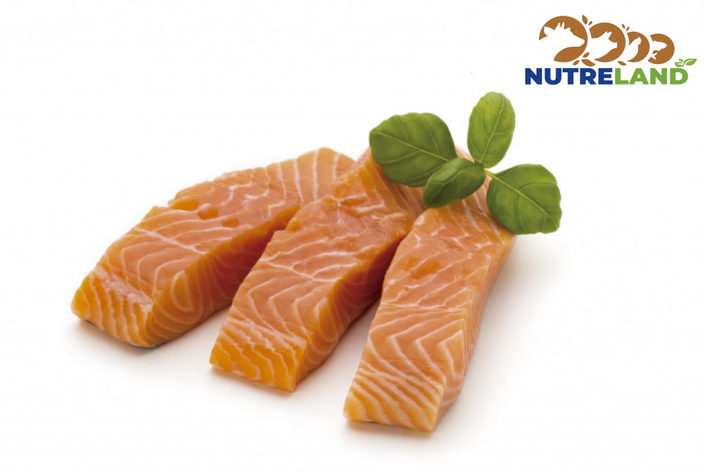 Salmon Porcionado