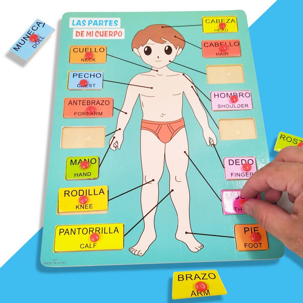 ROMPECABEZAS CURPO HUMANO HOMBRE Y MUJER JUGUETERIA DIDACTICO