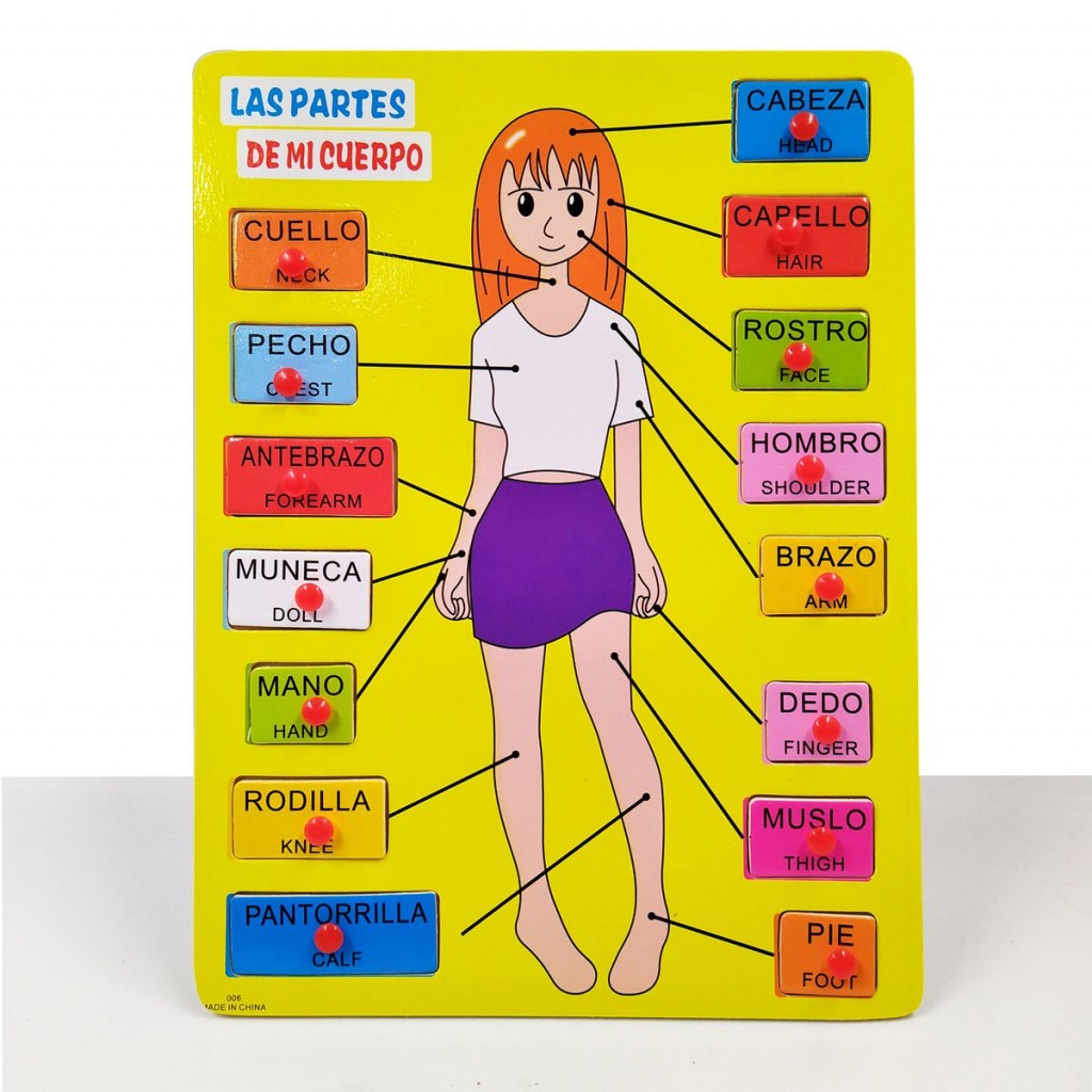 ROMPECABEZAS CURPO HUMANO HOMBRE Y MUJER JUGUETERIA DIDACTICO