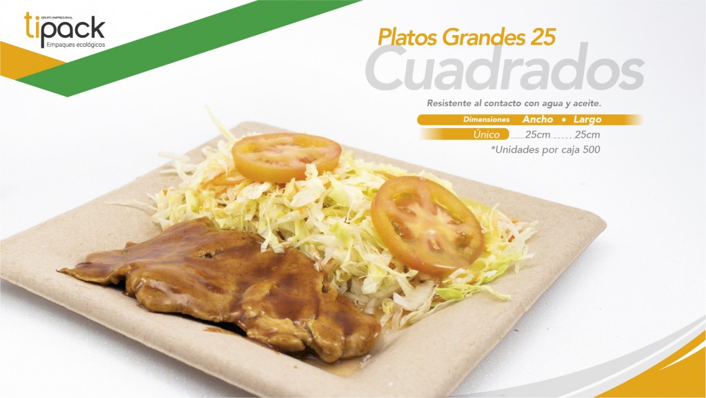 Plato cuadrado 25 cm Paquete X 20 unidades