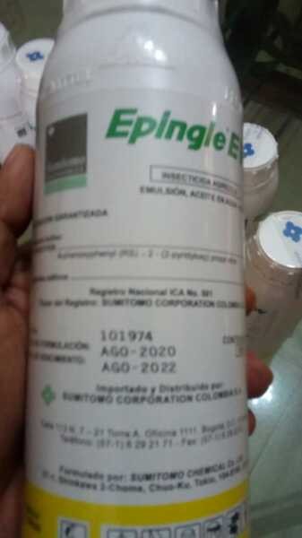 insecticidas Epingle EW