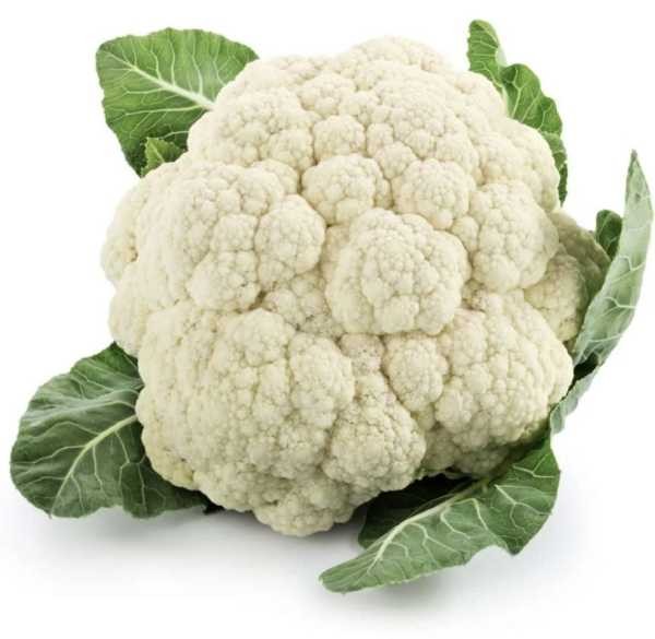 Coliflor
