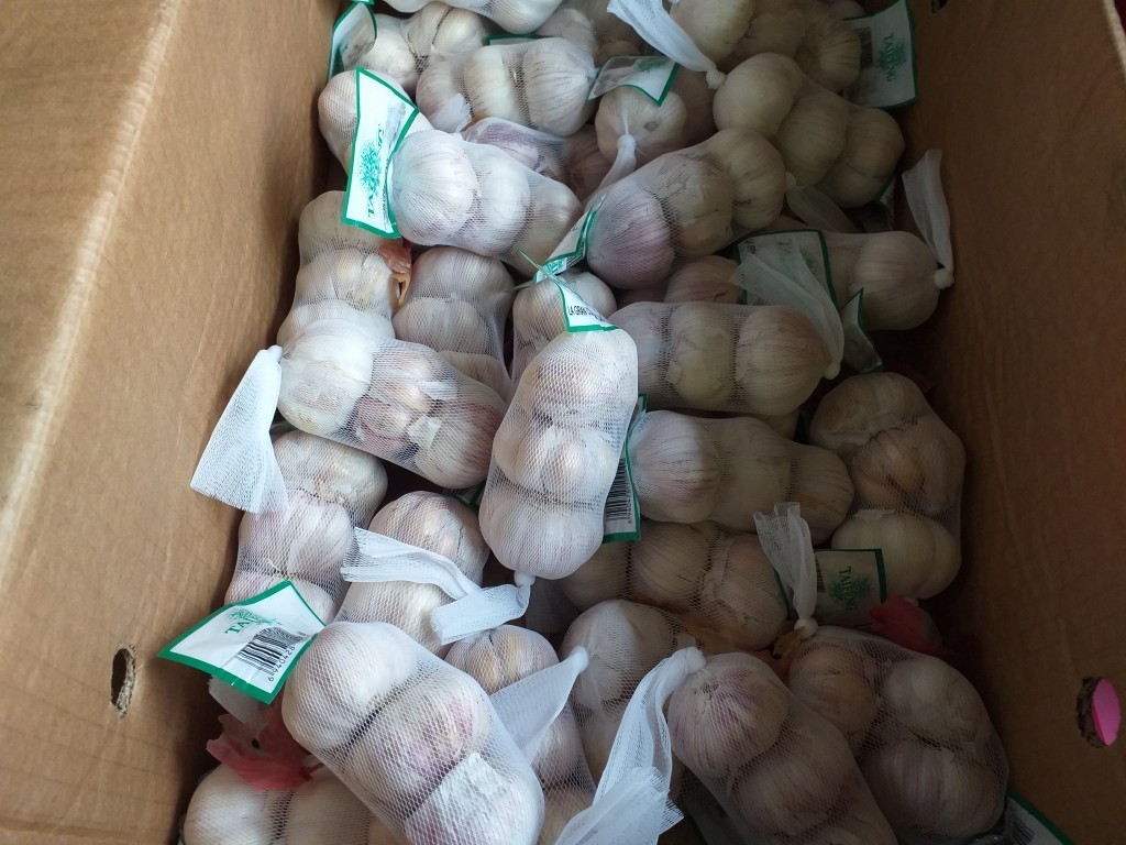 Caja Ajo malla x 10 kilos