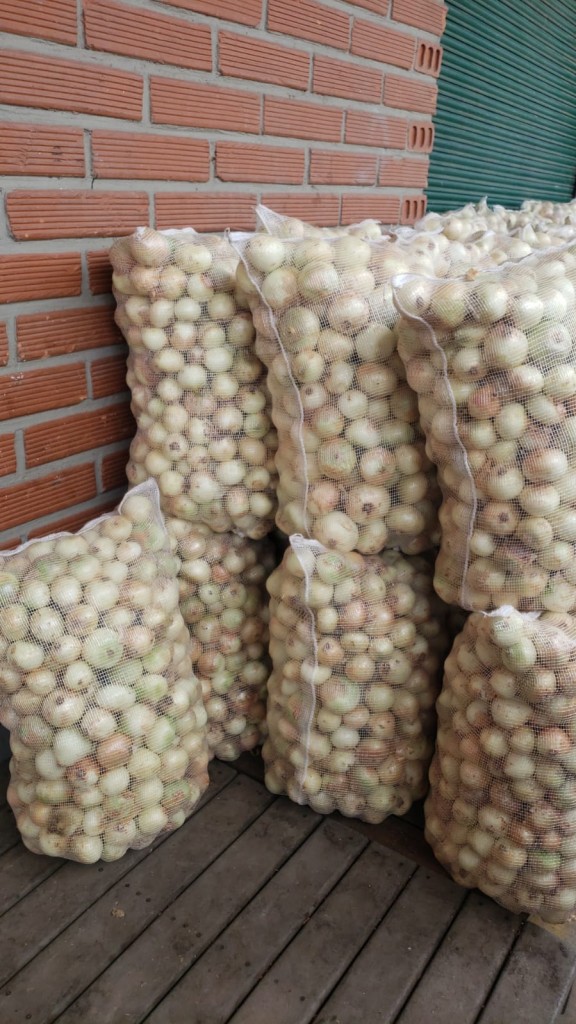 Cebolla extra blanca bulto x 48 kilos