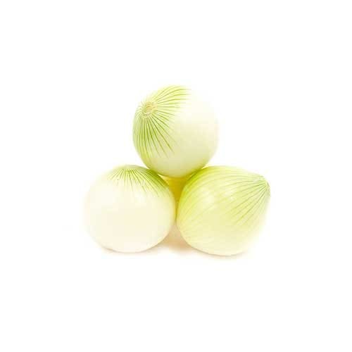 Cebolla pelada blanca x kilo