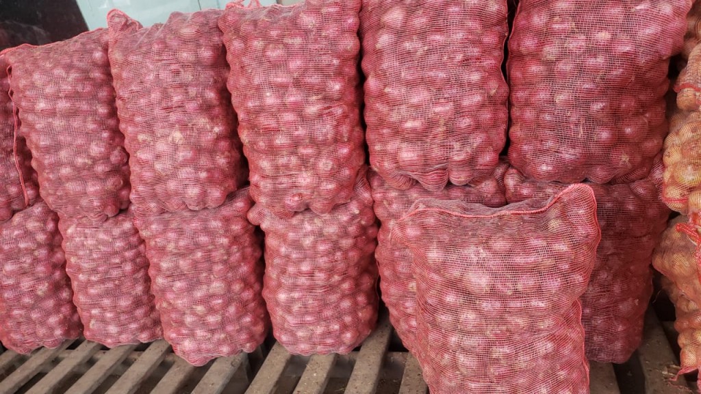 Cebolla bogotana roja bulto x 44 kilos