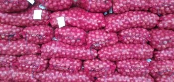 Cebolla roja importada segundon bulto x 44 kilos