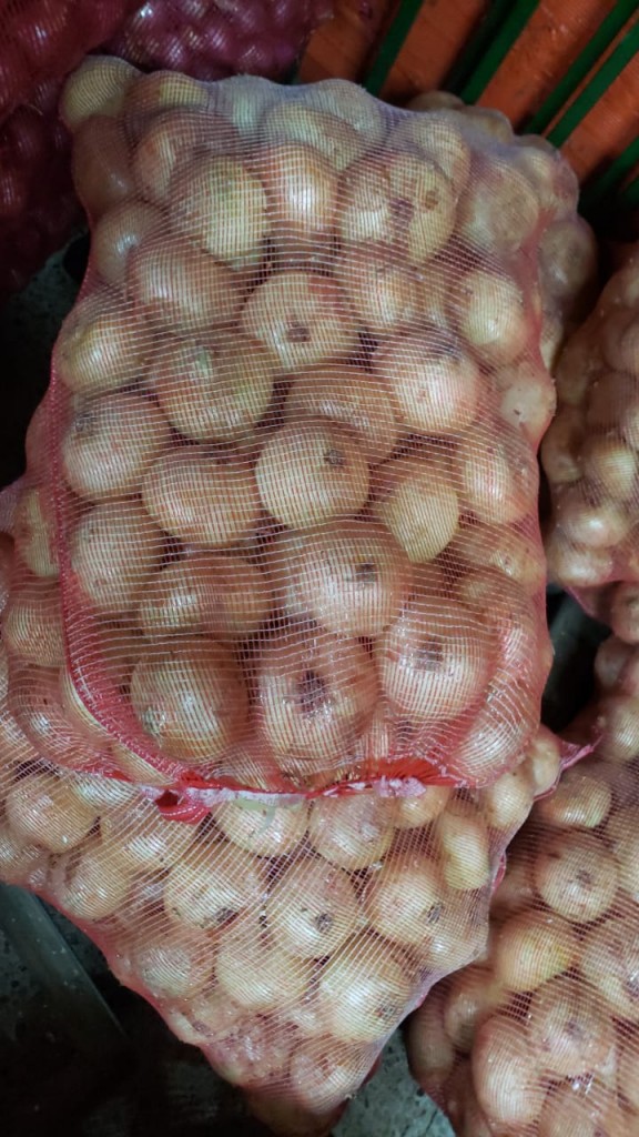 Cebolla tronco blanca bulto x 48 kilos