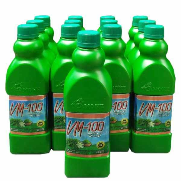 VM-100 Bebida Moringa 1.070ml