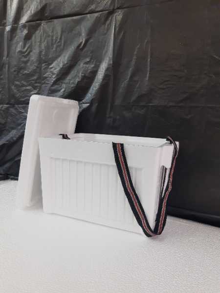 Nevera icopor 10 Lt