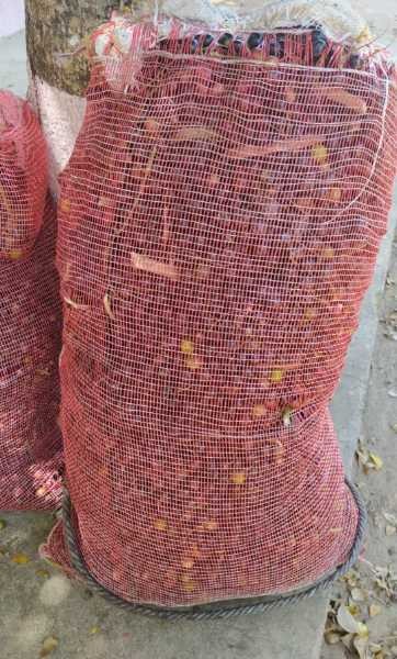 corozo para jugo