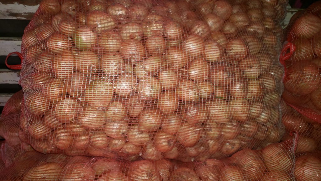 Cebolla semillon blanca bulto x 48 kilos