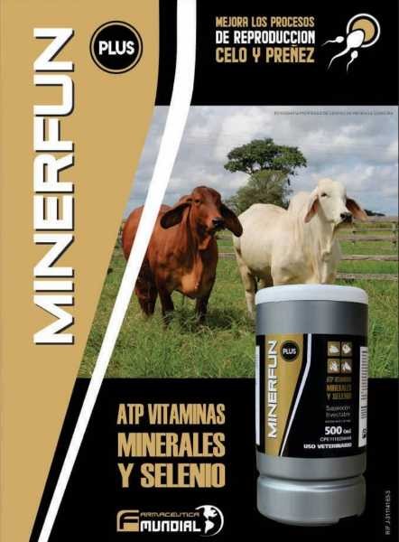 MINERFUN