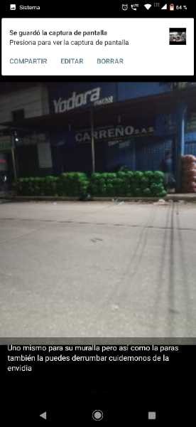 Limón común selecto