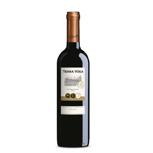 VINO TTO MALBEC TERRAVEGA x 750 ML