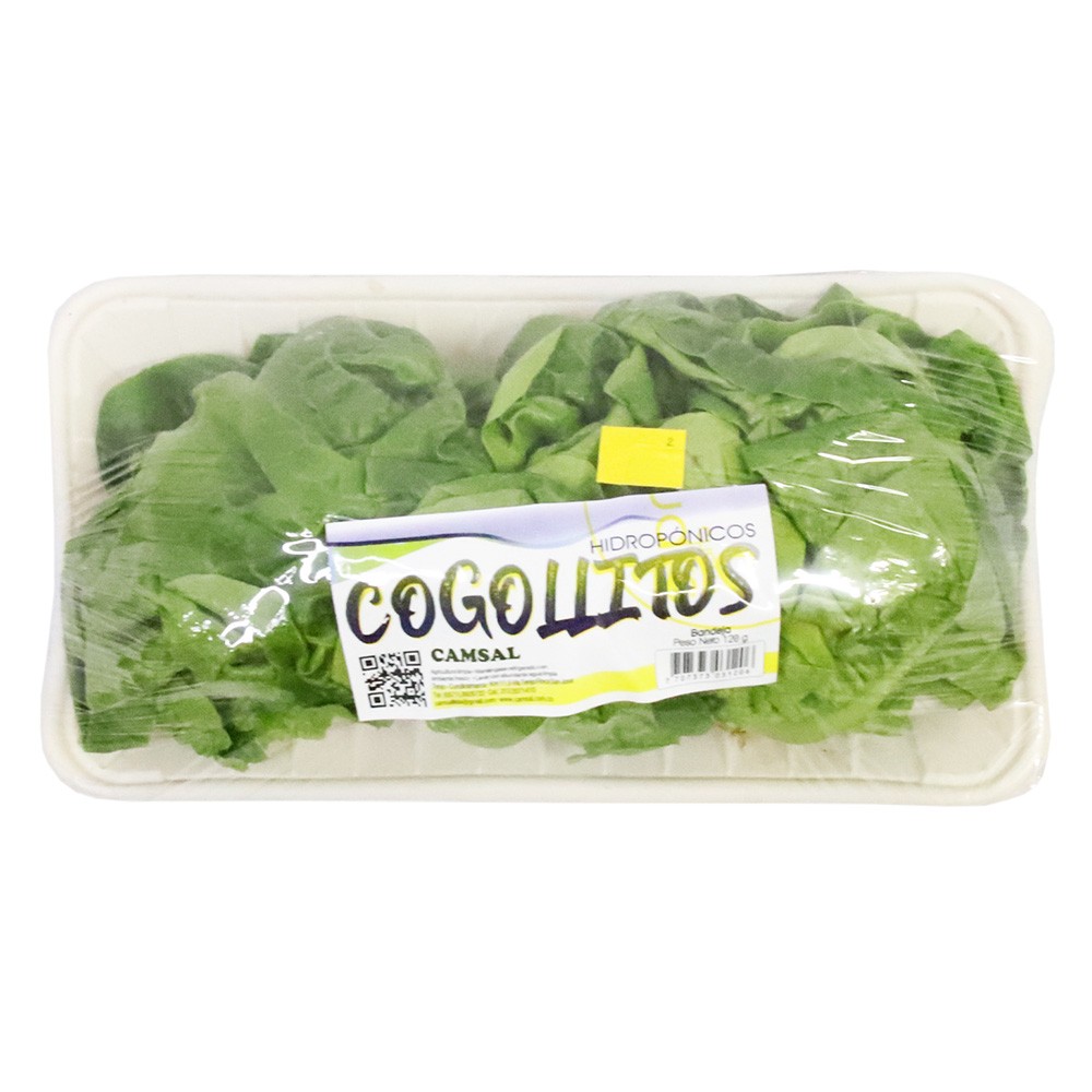 COGOLLOS HIDROPONICOS CAMSAL*120GR
