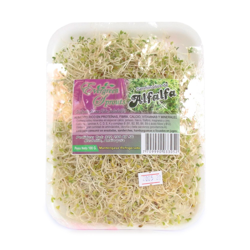 GERMINADOS DE ALFALFA  x 100GR