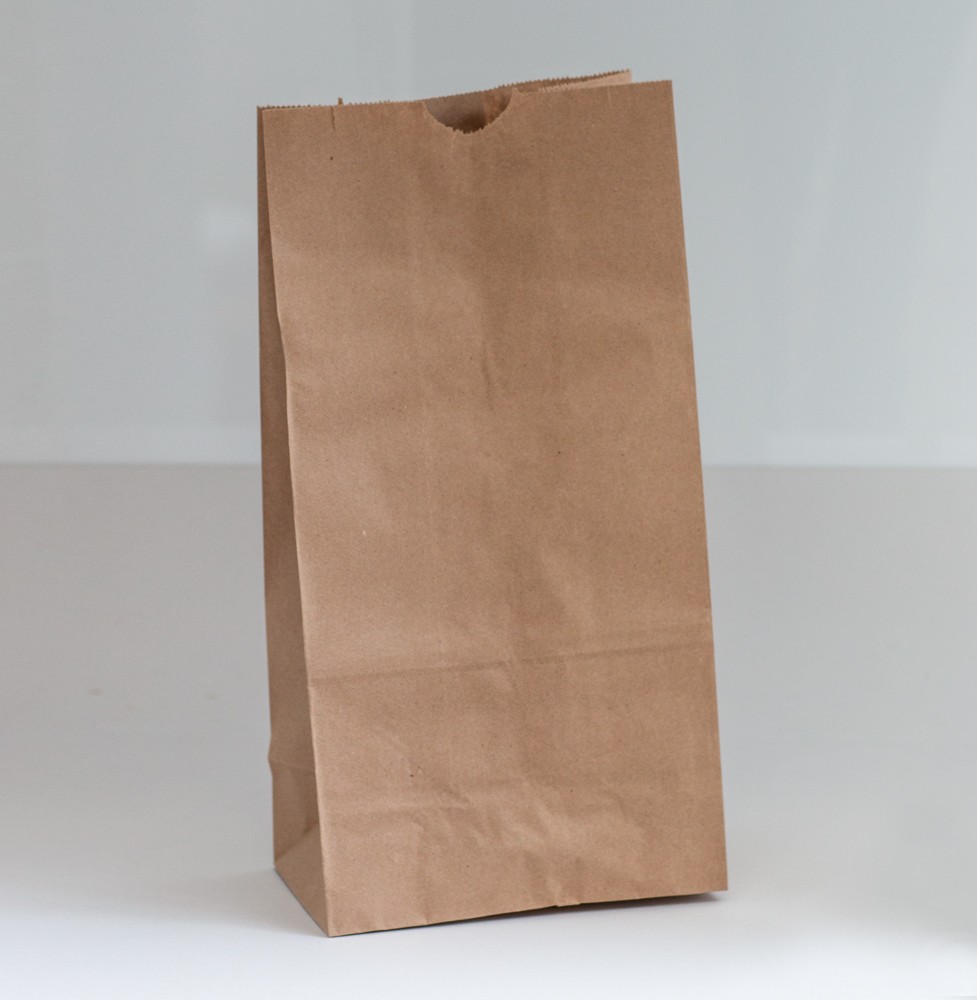 Bolsa De Papel Kraft # 20 *100 und