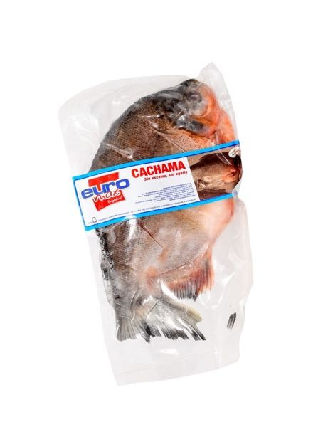 CACHAMA EUROMAX  x KILO