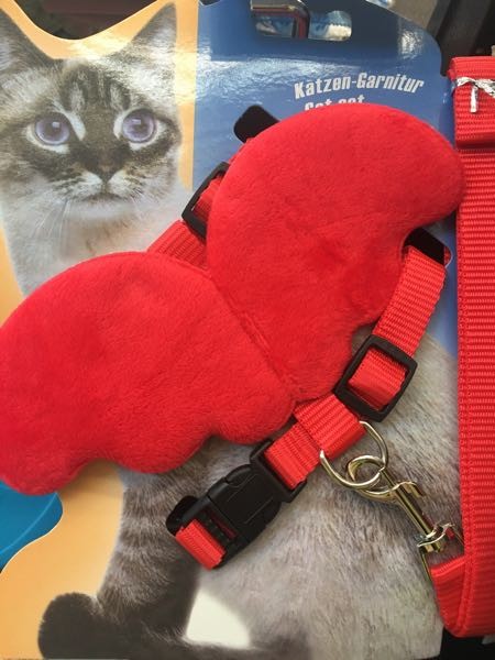 ARNE CON ALAS PARA GATO