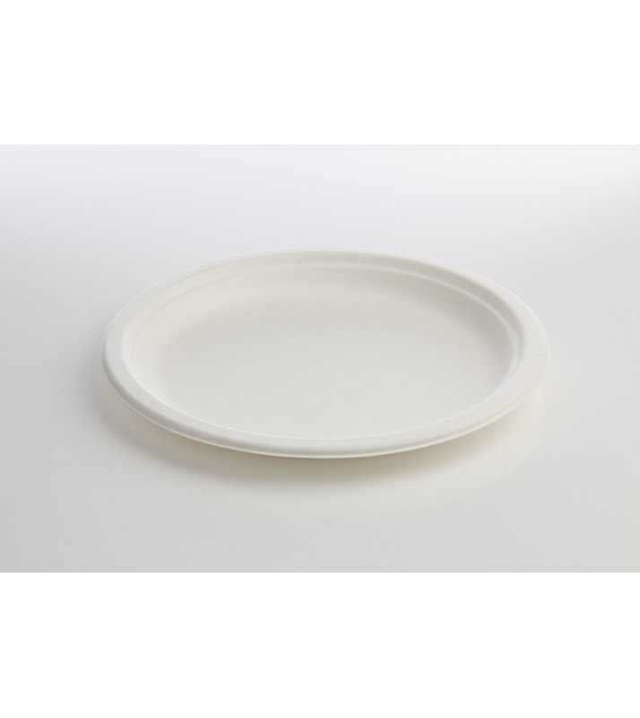 plato pando pequeño x 20 und