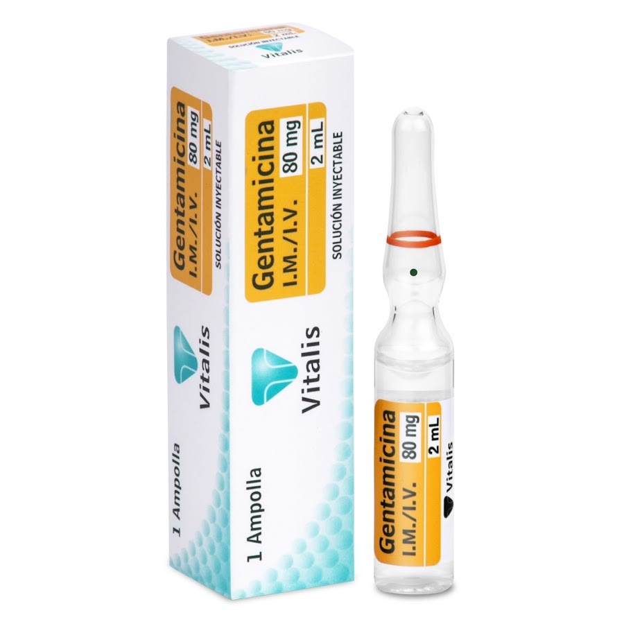 Gentamicina 80Mg/2Ml Vitalis x 1 Ampolla