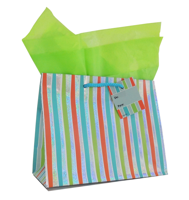 BOLSA DE REGALO MEDIANA SURTIDA  X 1 UND