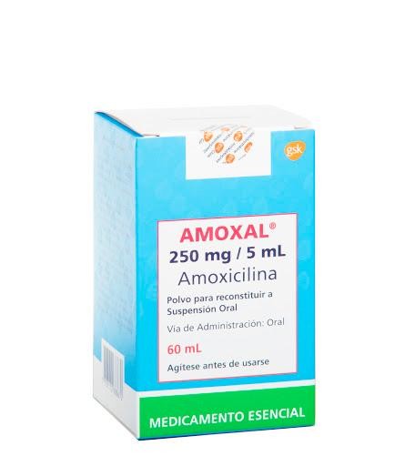 Amoxal 250Mg/5Ml. Suspensión Oral Frasco x60Ml. GSK Amoxicilina