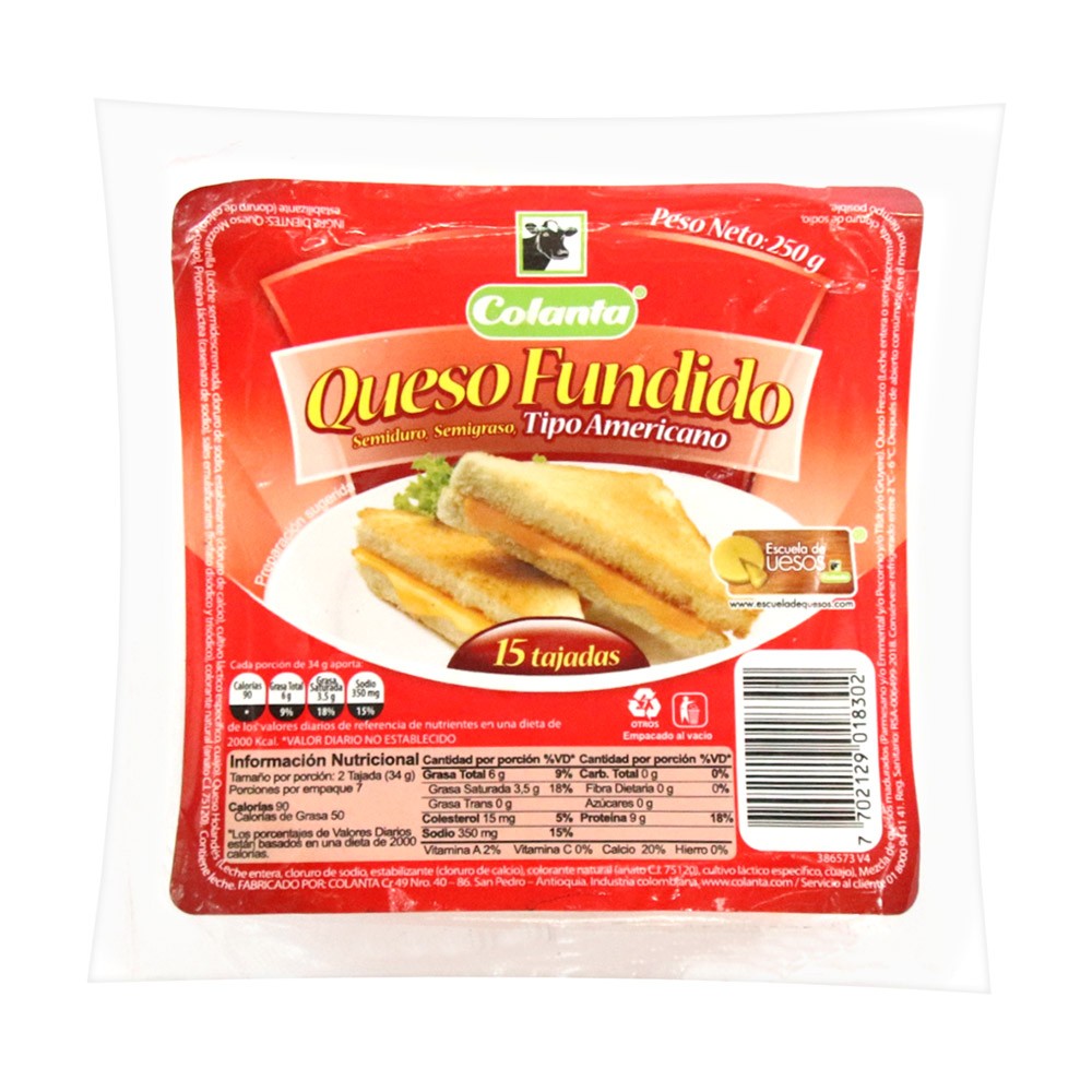 QUESO FUNDIDO T. AMERI.  x 250