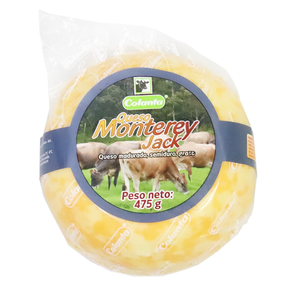 QUESO MONTERREY JACK  x 475GR