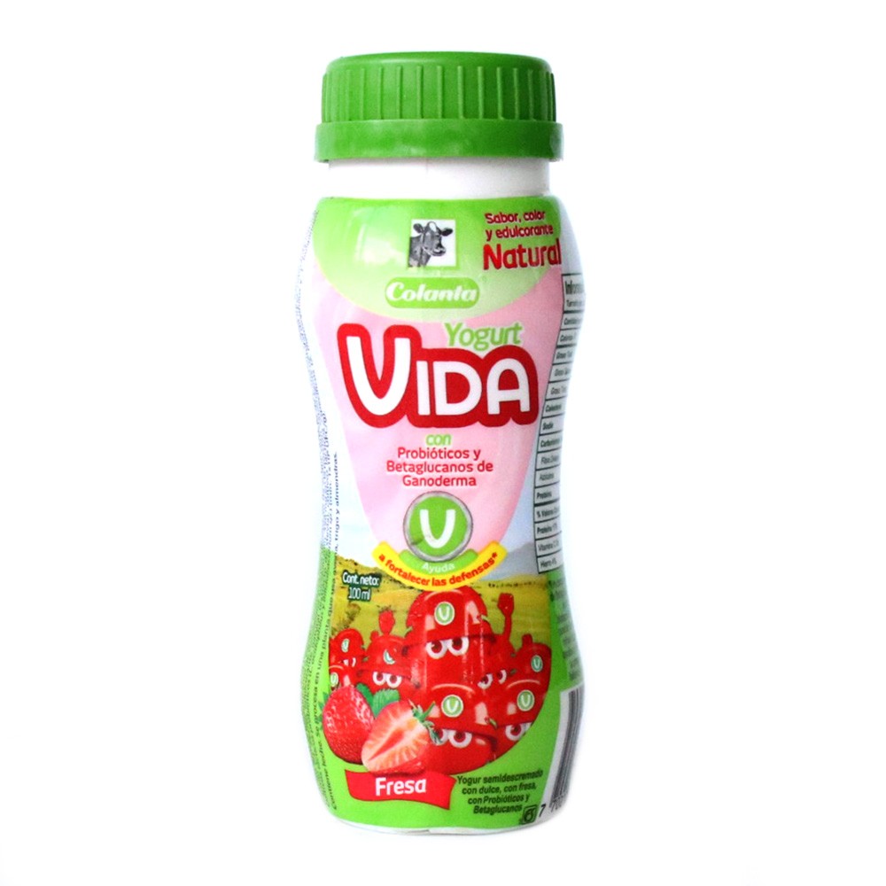 YOGUR VIDA FRESA x 100GR