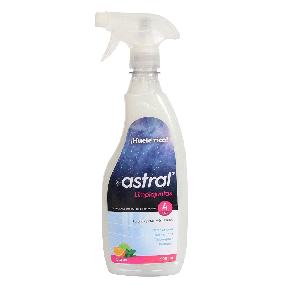 LIMPIADOR DE JUNTAS PISTO ASTRAL x 500ML