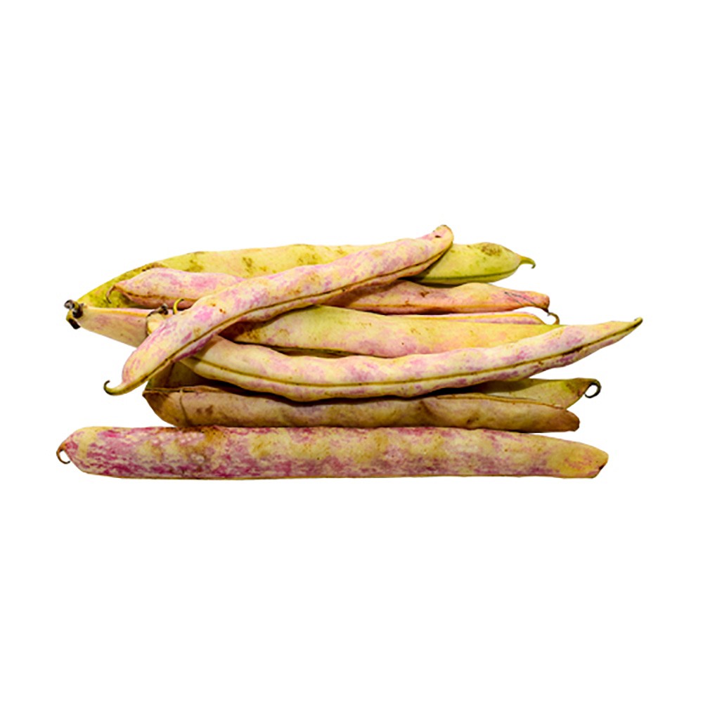 FRIJOL VERDE VAINA