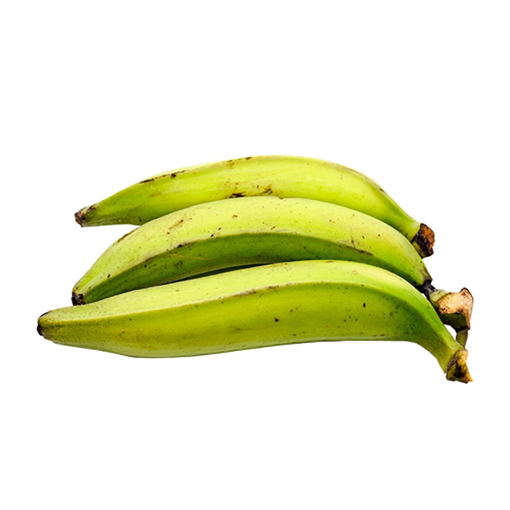 PLATANO