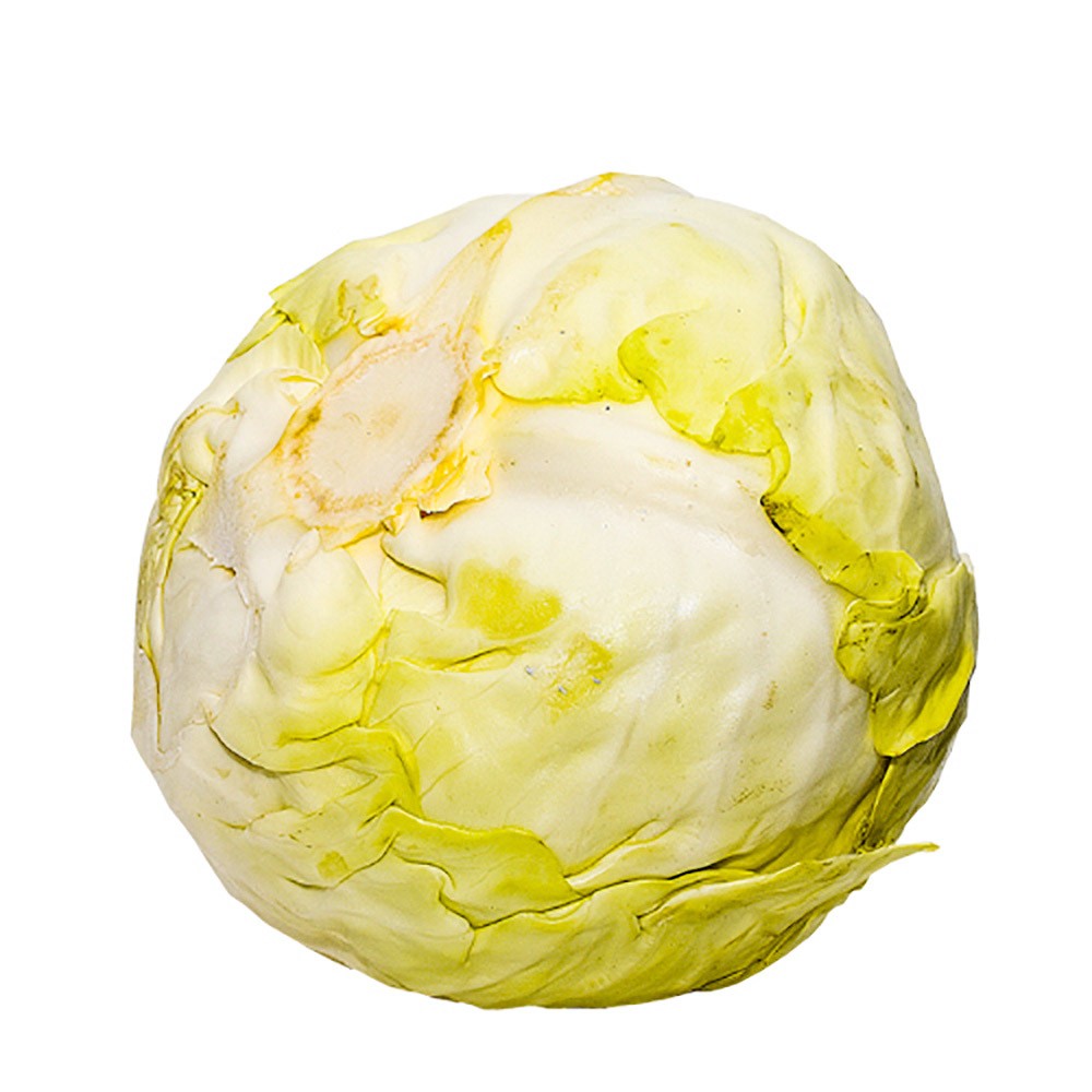 REPOLLO BLANCO