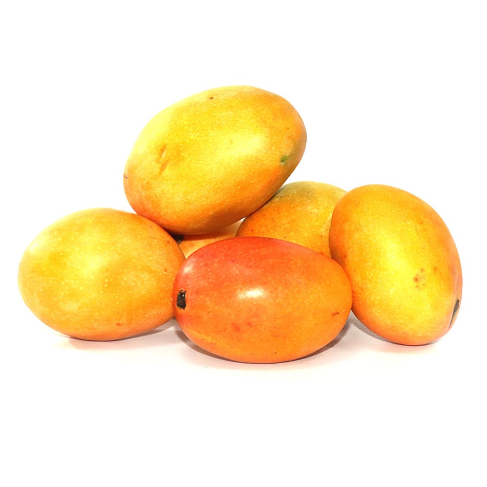 MANGO DE AZUCAR