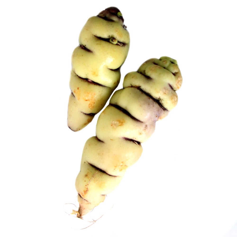 CUBIOS
