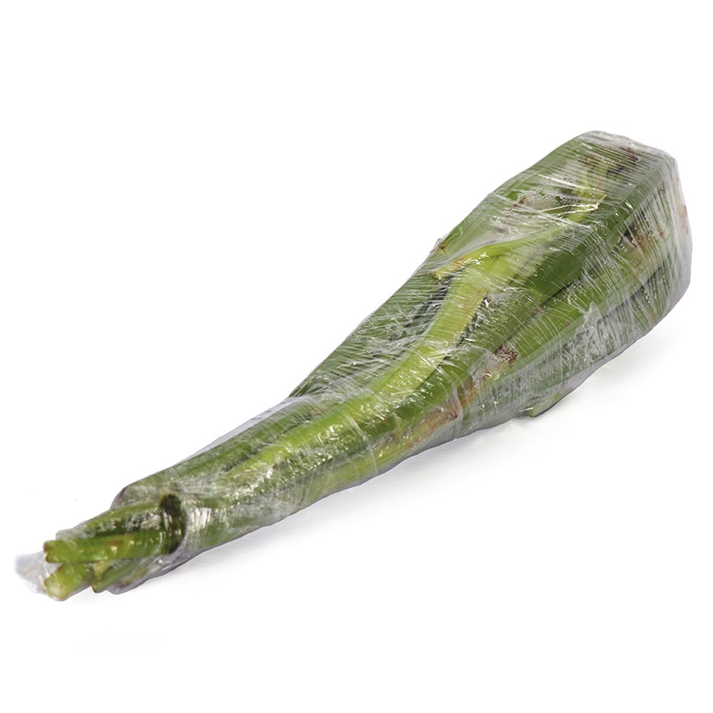 APIO SIN HOJA