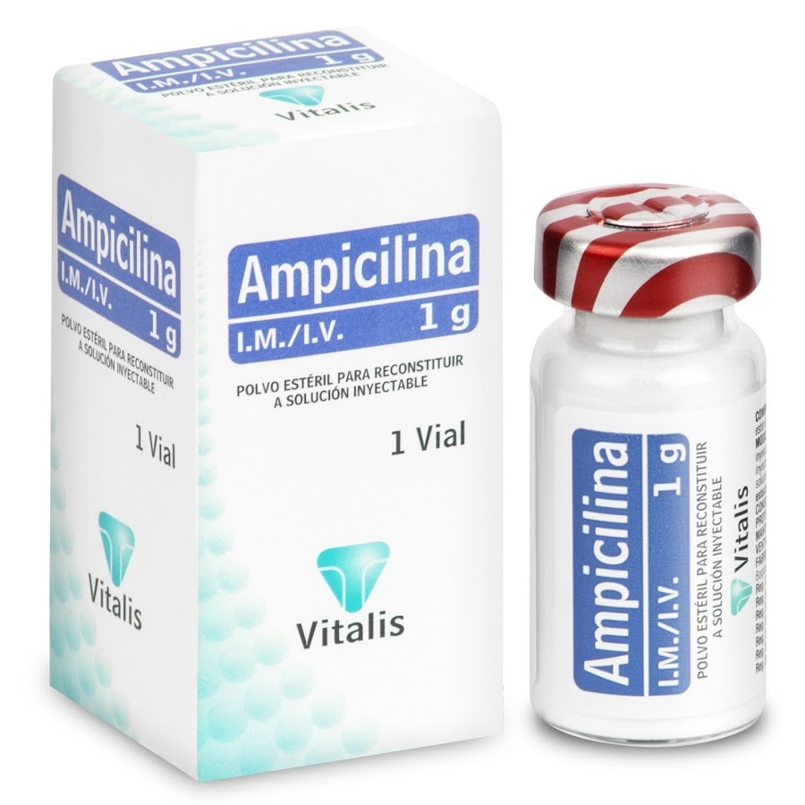 Ampicilina 1Gr Vitalis x 1 Ampolla