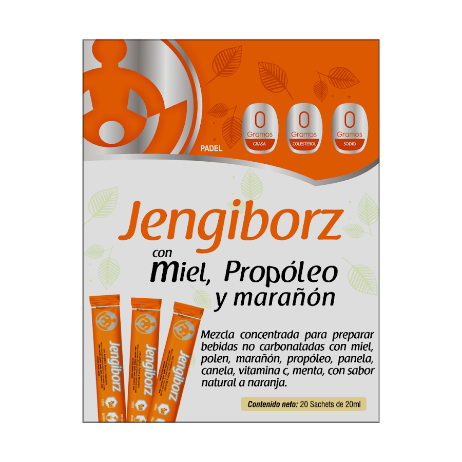 JENGIBORZ SACHET LIQUIDO CAJA X 20 SACHET