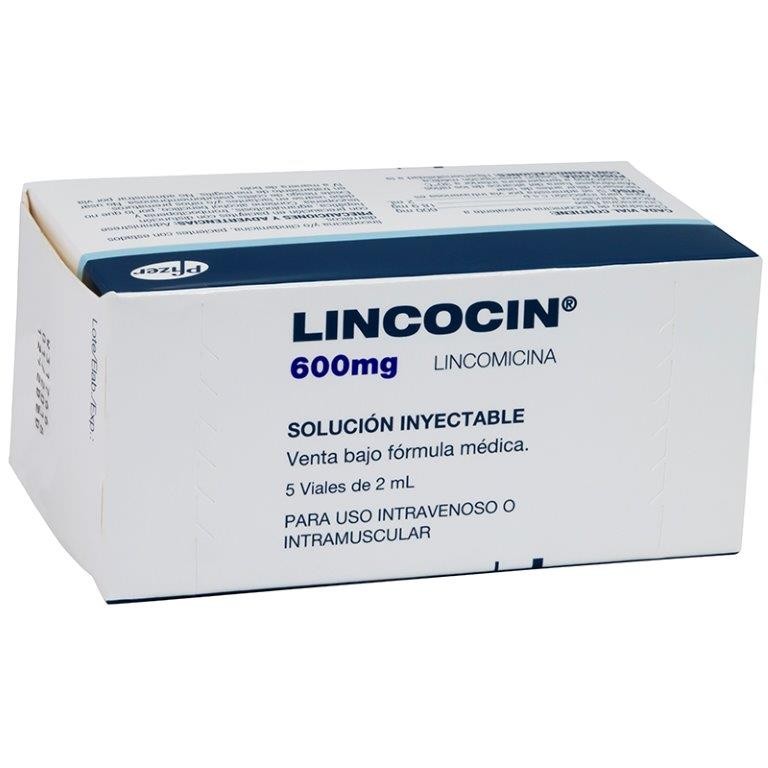 LINCOCIN SOL. INY. 600MG/2ML CAJA X 5 VIAL CLORHIDRATO DE LINCOMICINA