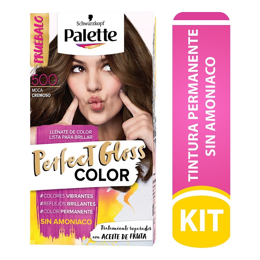 Tinte Palette Perfect Gloss Color Moca Cremoso N° 500 X1und Sin Amon