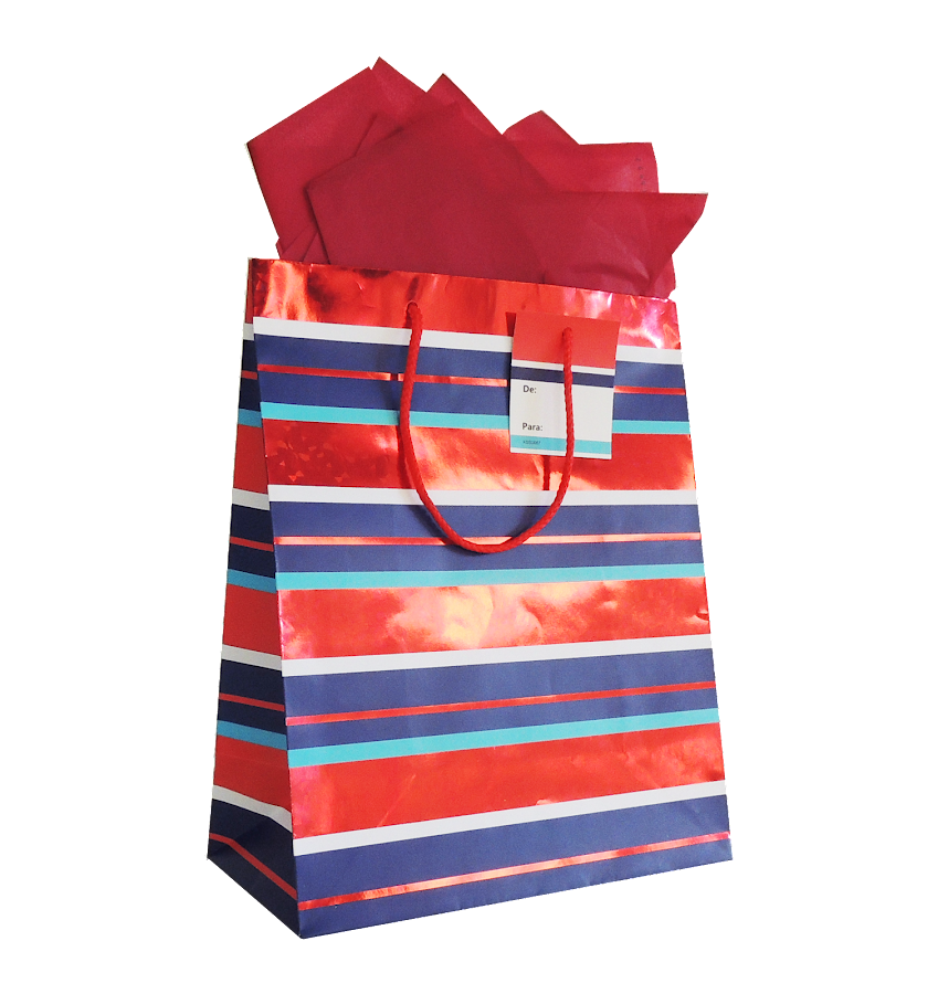 BOLSA DE REGALO GRANDE SURTIDA X 1 UND