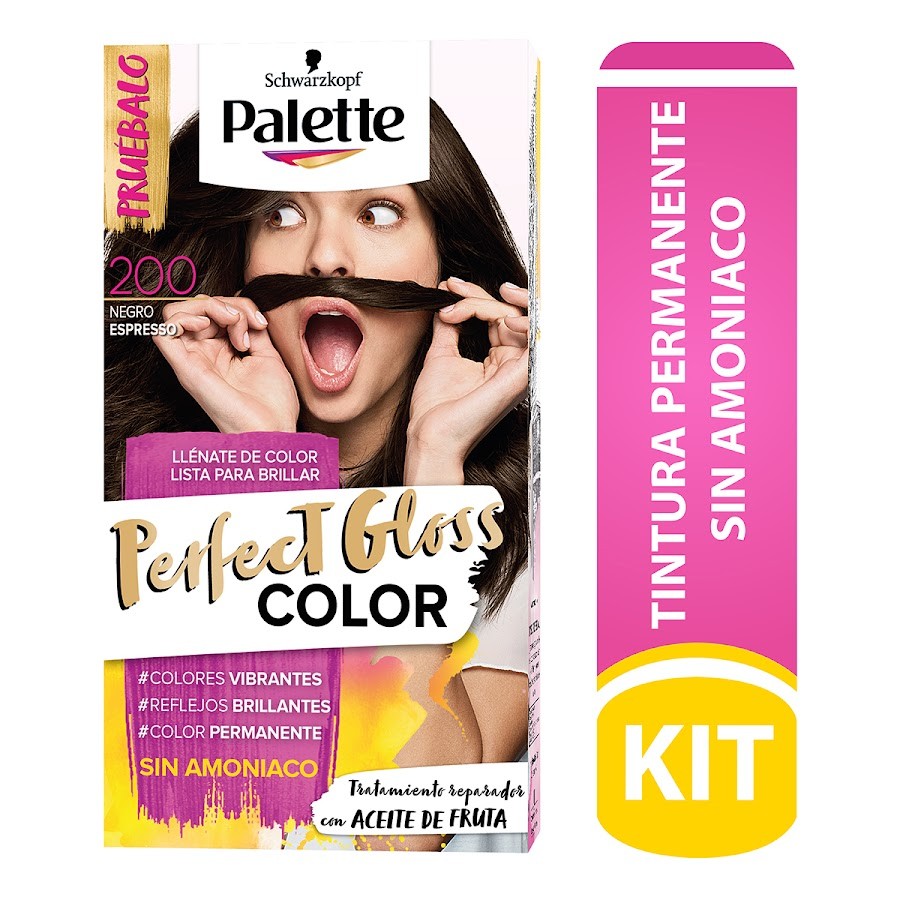 Tinte Palette Perfect Gloss Color Negro Espresso N° 200 X 1und