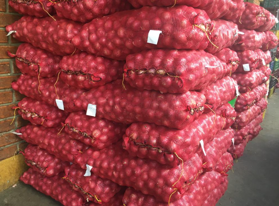 cebolla roja peruana gruesa
