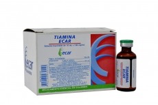 Solo Online Tiamina 100 Mg/10Ml 12 Amp