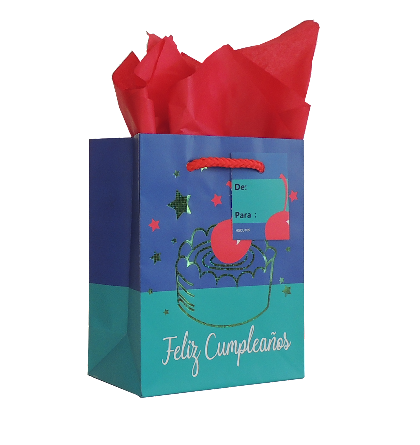 BOLSA DE REGALO PEQUENA SURTIDA X 1 UND