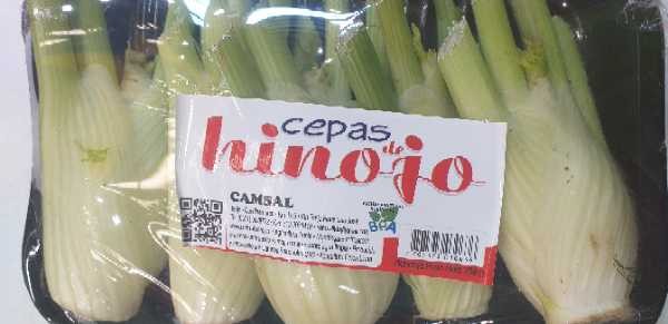 CEPAS DE HINOJO BANDEJA CMSAL*250GR